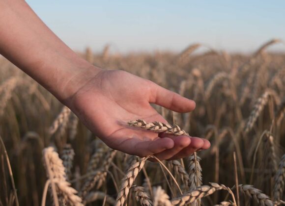 Our Part in the Harvest: Saving the Lost Our Part in the Harvest: Saving the Lost