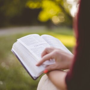 Basic Principles of Bible Study Basic Principles of Bible Study