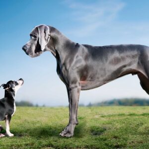 When Little Is Big Enough