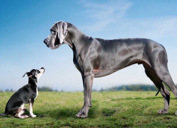 When Little Is Big Enough