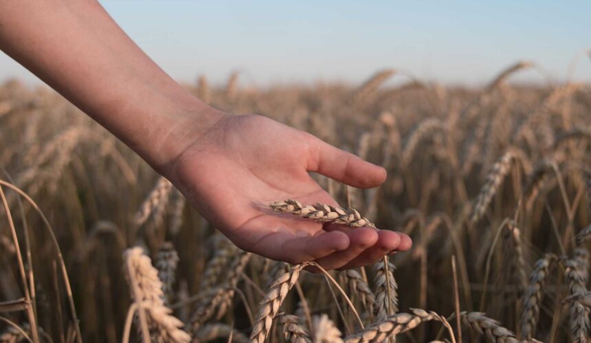 Our Part in the Harvest: Saving the Lost