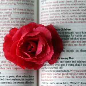 As God for Christ’s Sake: Grieve Not the Spirit